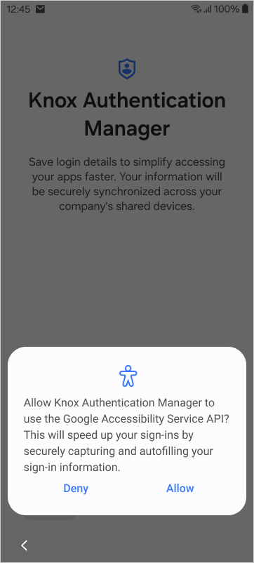 The Google Accessibility Service pop up.