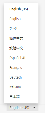 Console languages
